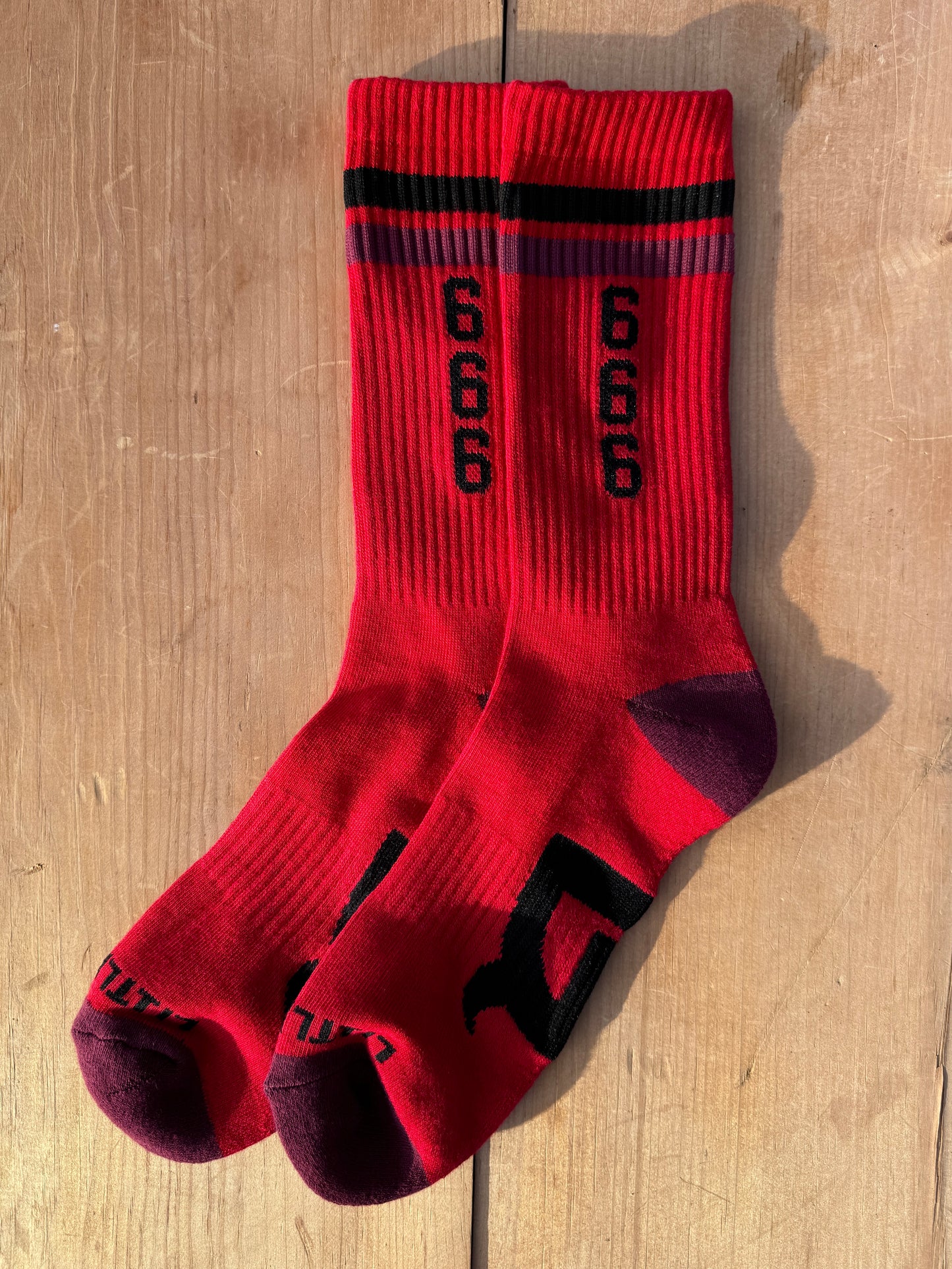 666 Socks